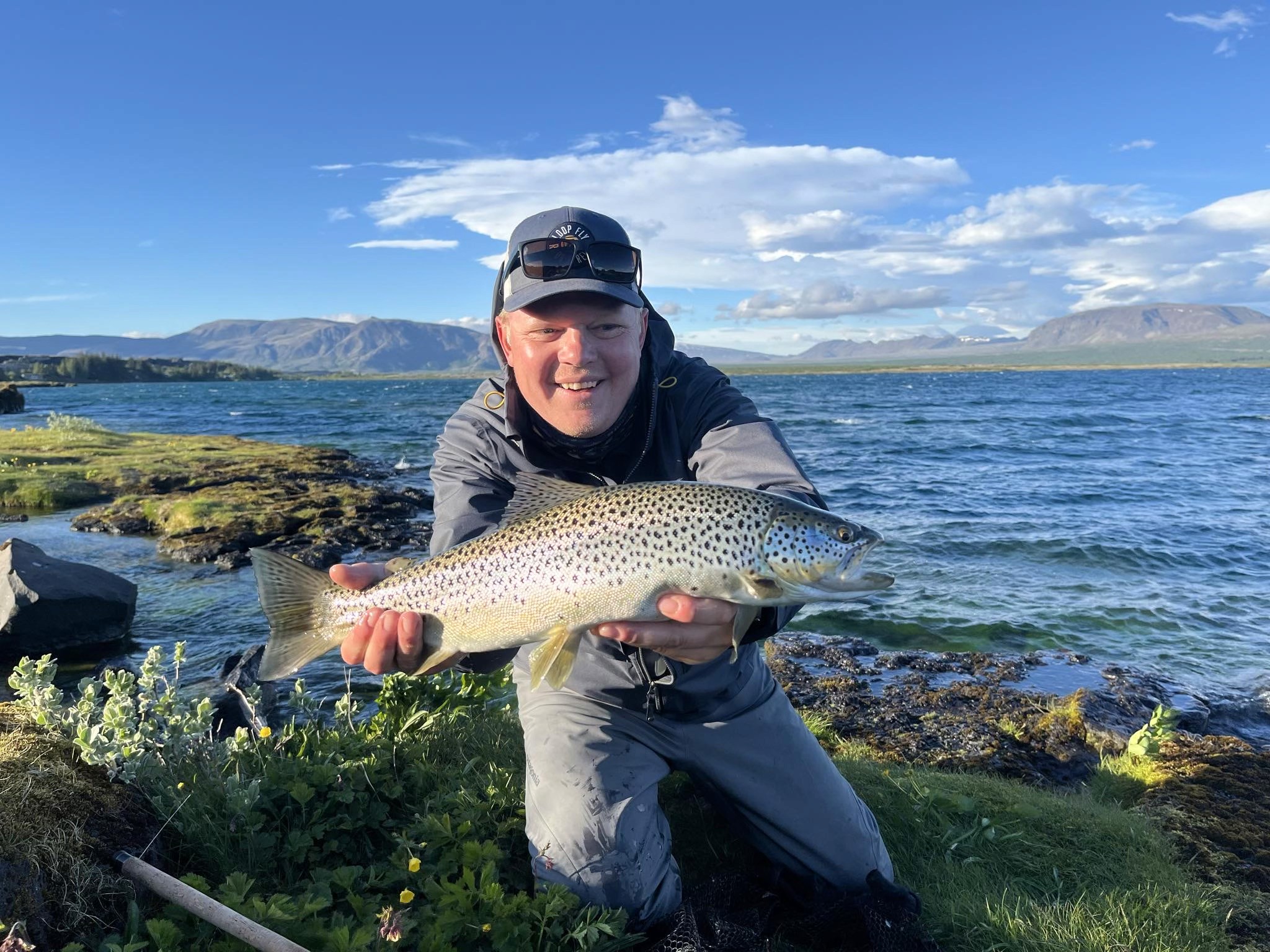 Island, Brown Trout, Arctic char, fjeldørred