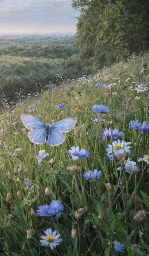 Sacred artwork by Faith and Verse. © Faith and Verse, 2025. All rights reserved. A blue butterfly rests among wildflowers in the Rhône Valley—evoking the contemplative vision and Franciscan love of creation central to Saint Bonaventure's theology.
