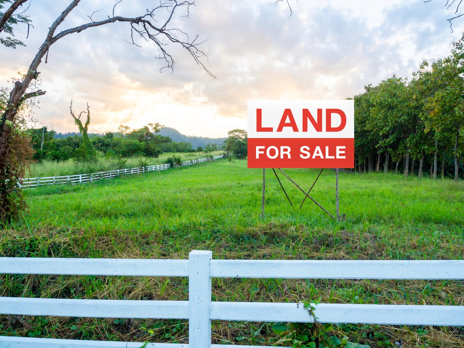 land for sale