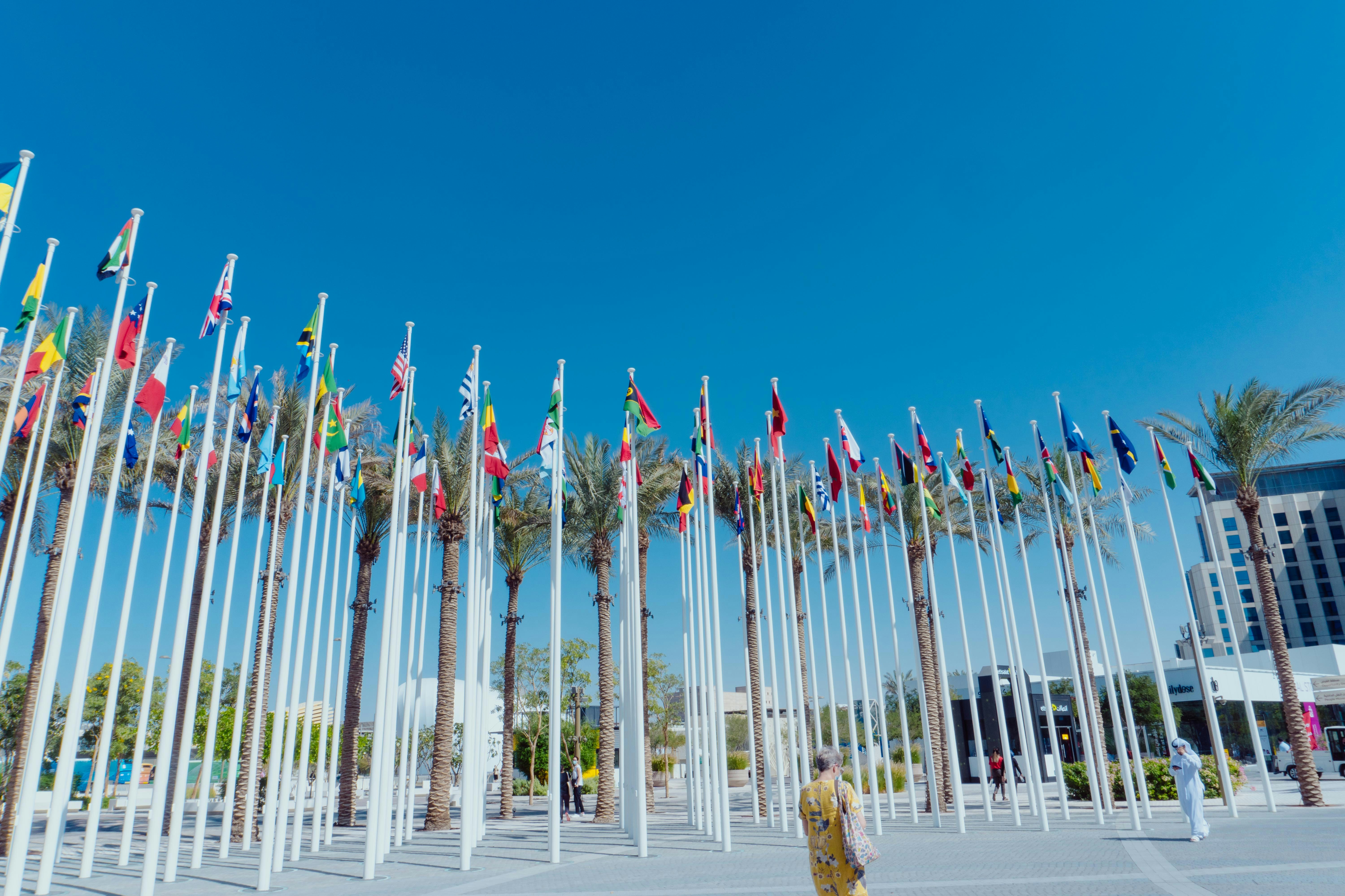 a row of flags on poles