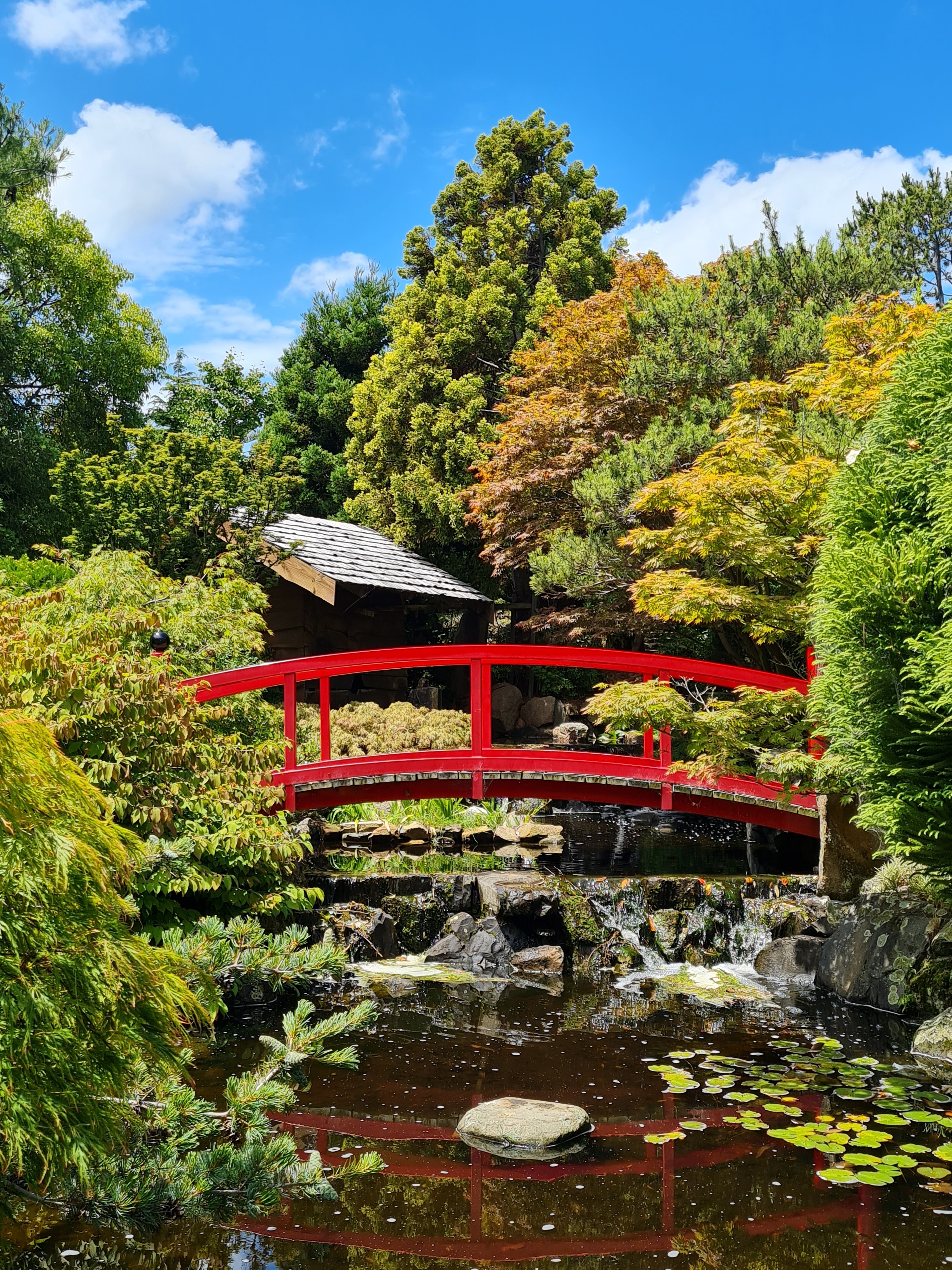 Islands in the ocean at sunset
