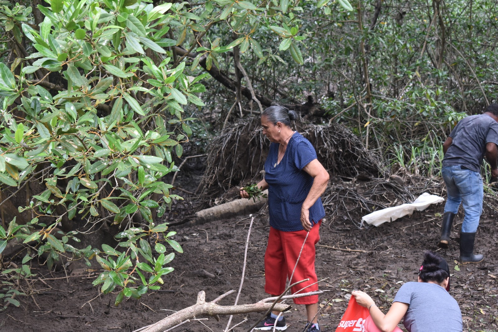 Foto cortesia da Fundación Pro Eco Azuero, Panamá