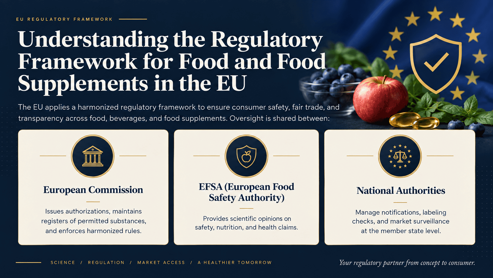 Understanding the Regulatory Framework for Food and Food Supplements in the EU