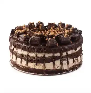 product photo of a chocolate cake