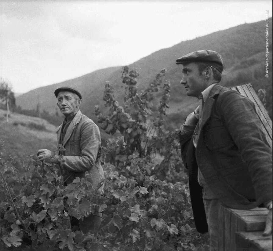 A black and white picture of 3 farmers