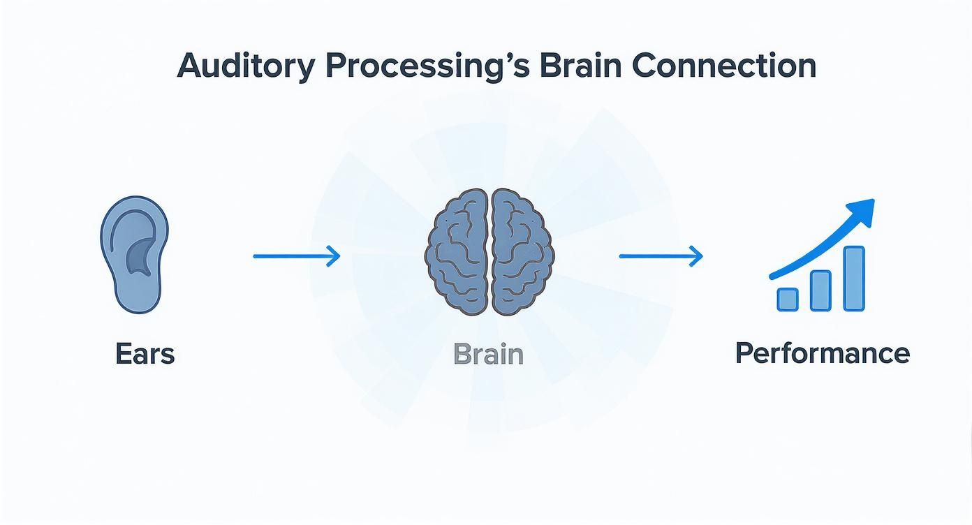 Infographic about auditory processing test