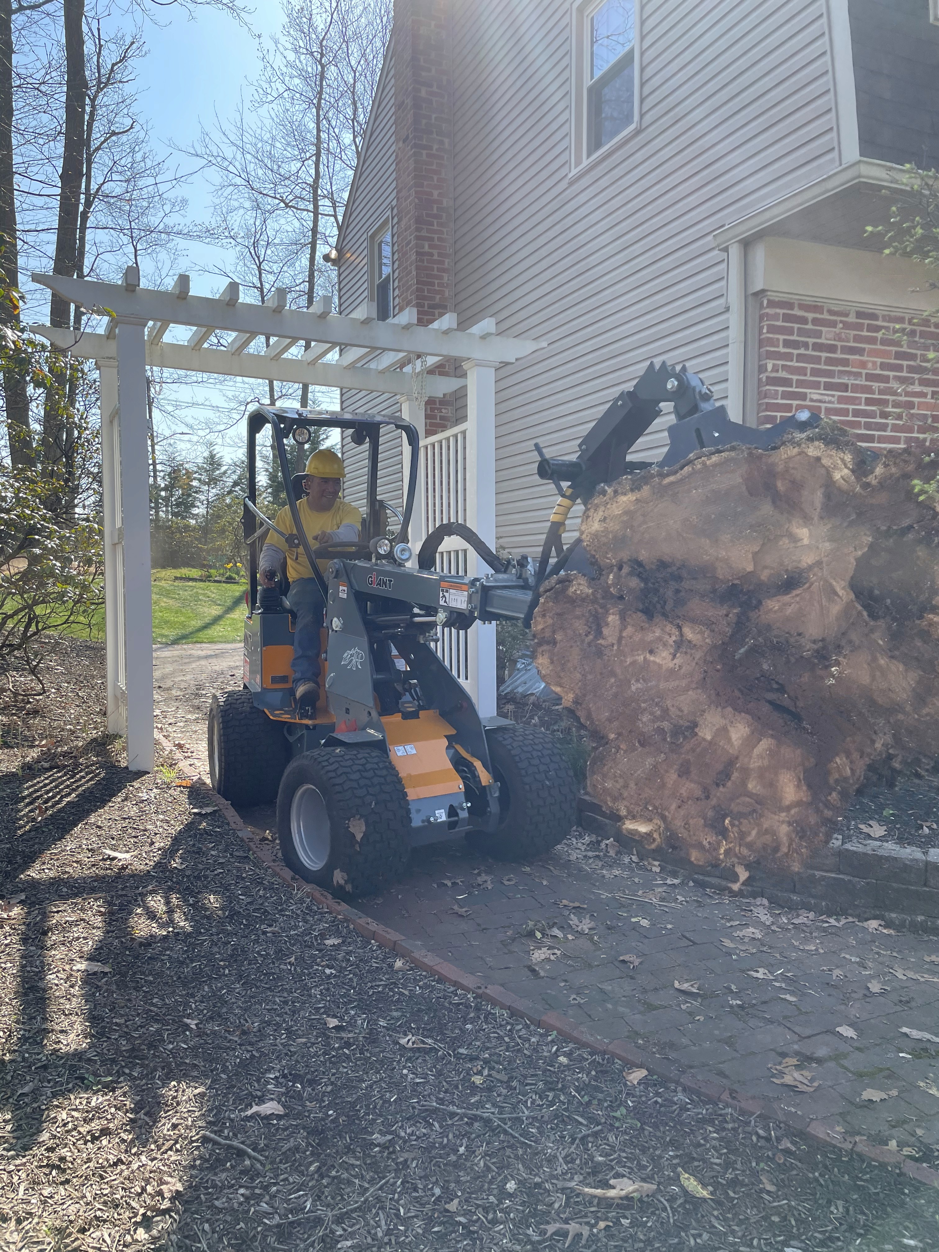 Stump grinding photo