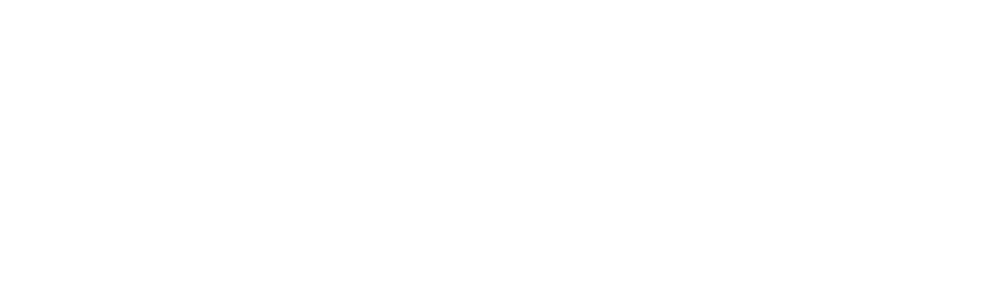 American Eagle Logo