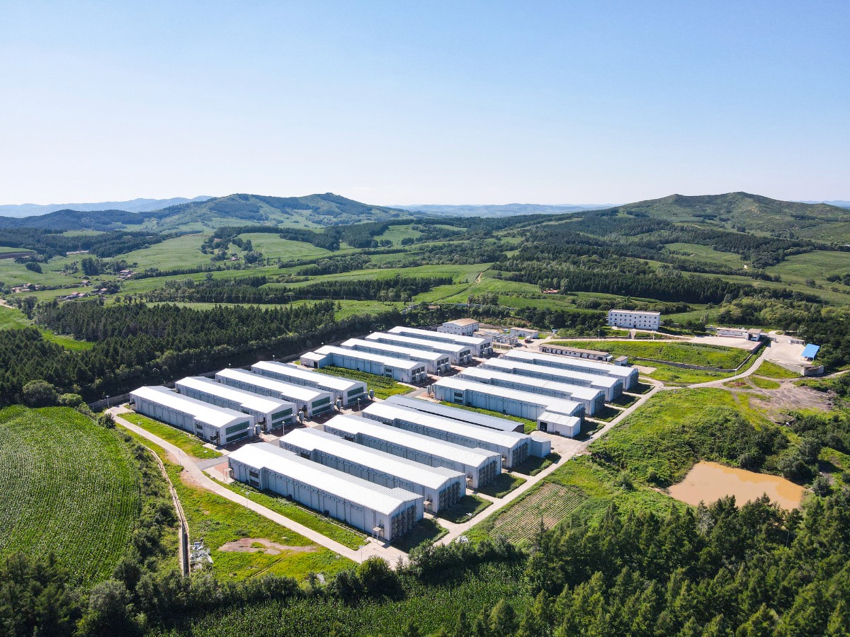 Aerial view of a vast Jinyi Food processing facility with multiple white buildings nestled amidst lush green fields and.