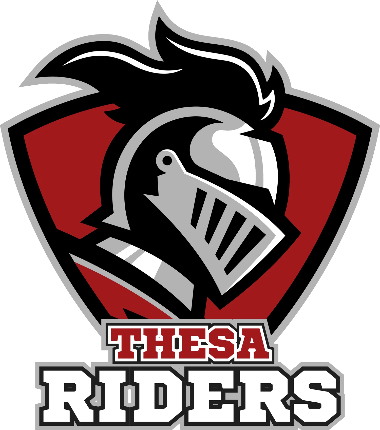 A TeamLinkt Sports League Partner Logo