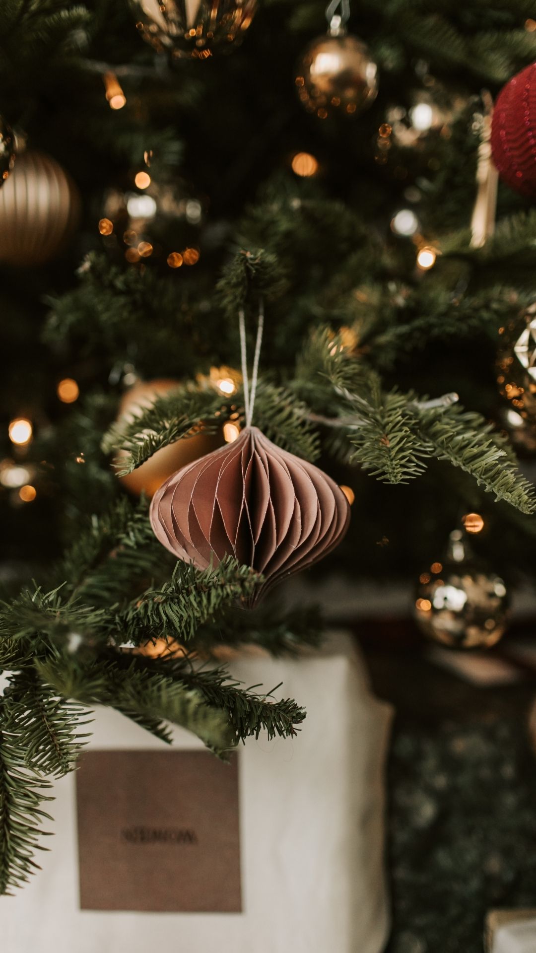Sabrina Weimann Ernährungsberaterin liegt auf Picknickdecke mit frischem Obst und Gemüse und macht ein Picknick
