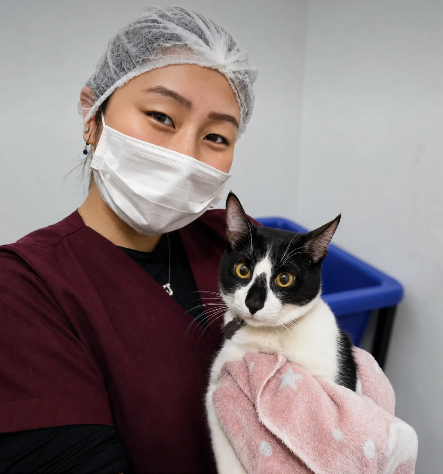 Hero Image Veterinarias