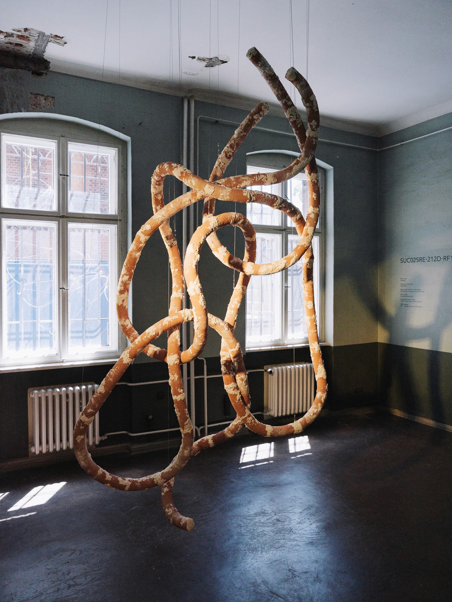 13th Berlin Biennale | Photo by Viktor Nikishov
