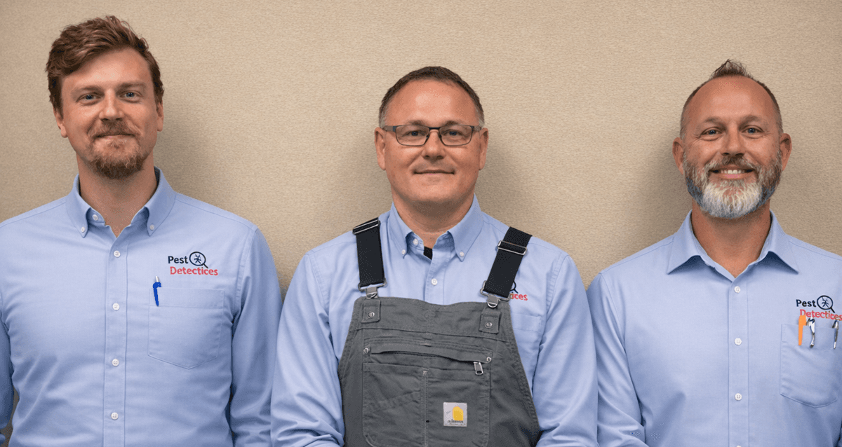 pest-control-services