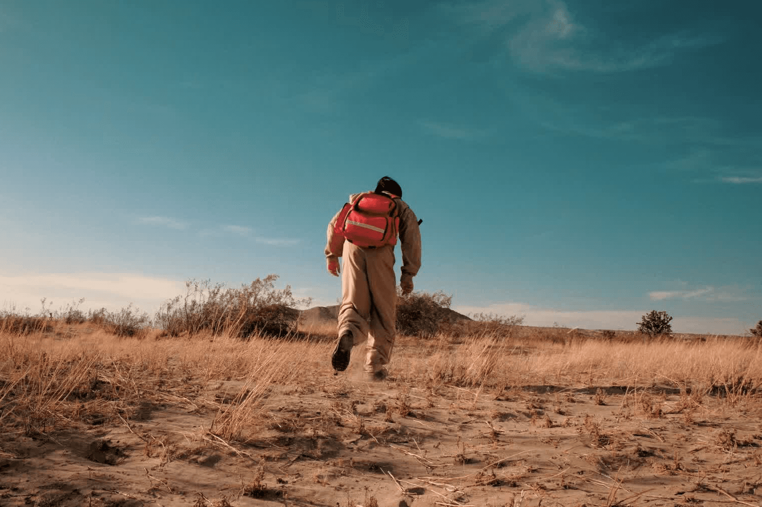 Sport car from the top