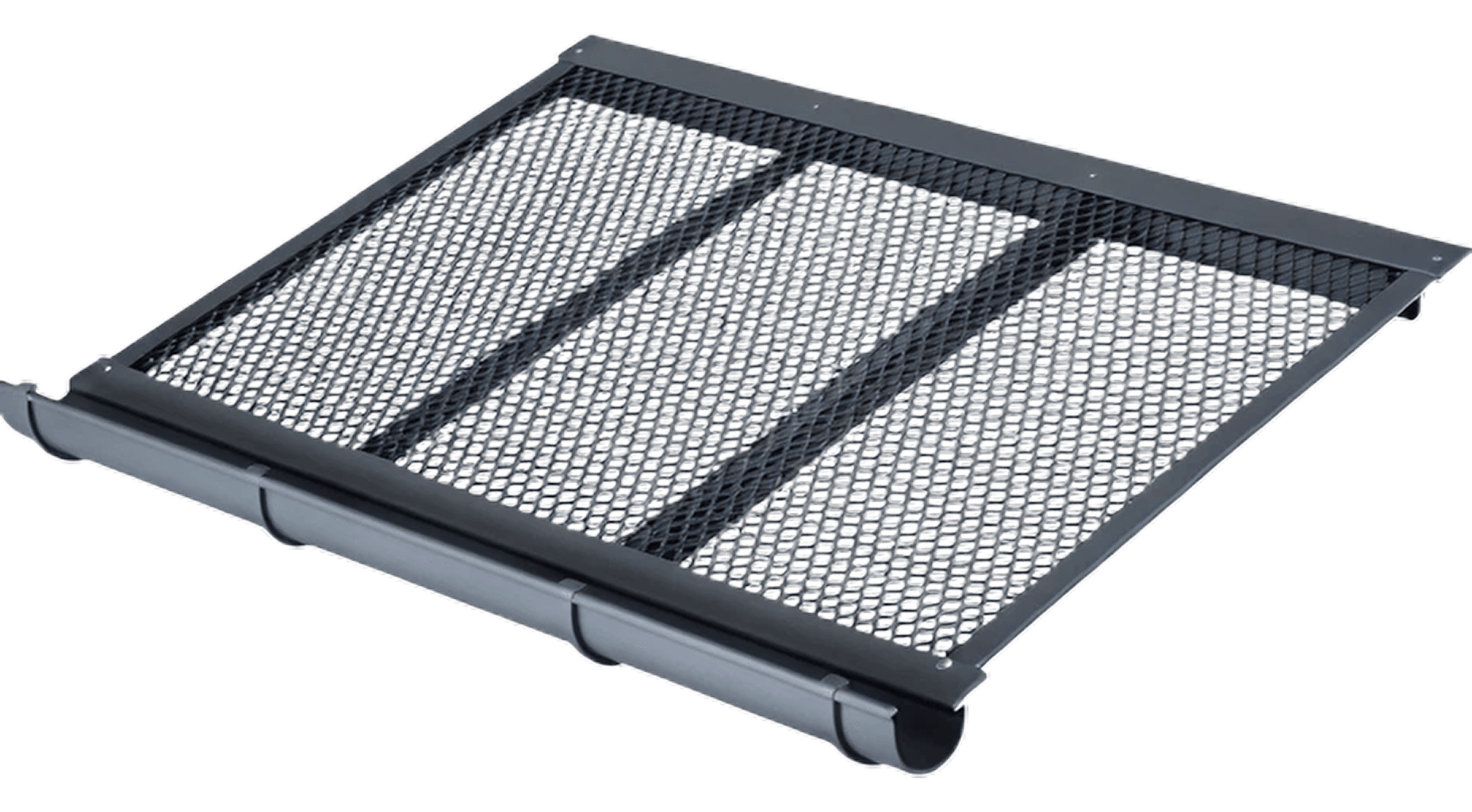 Burger Tomato and Onions