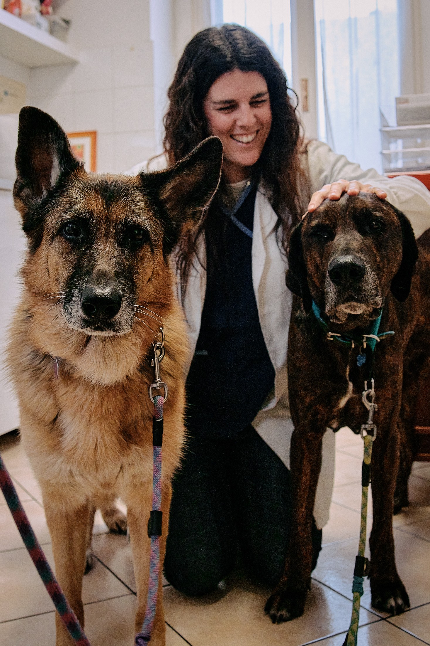 A veterinarian kneels next to two dogs, smiling as she gently pets the brown and black striped dog.