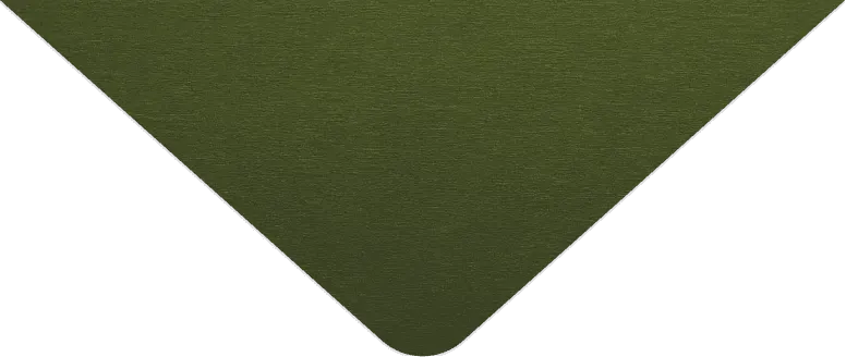 flap-outer