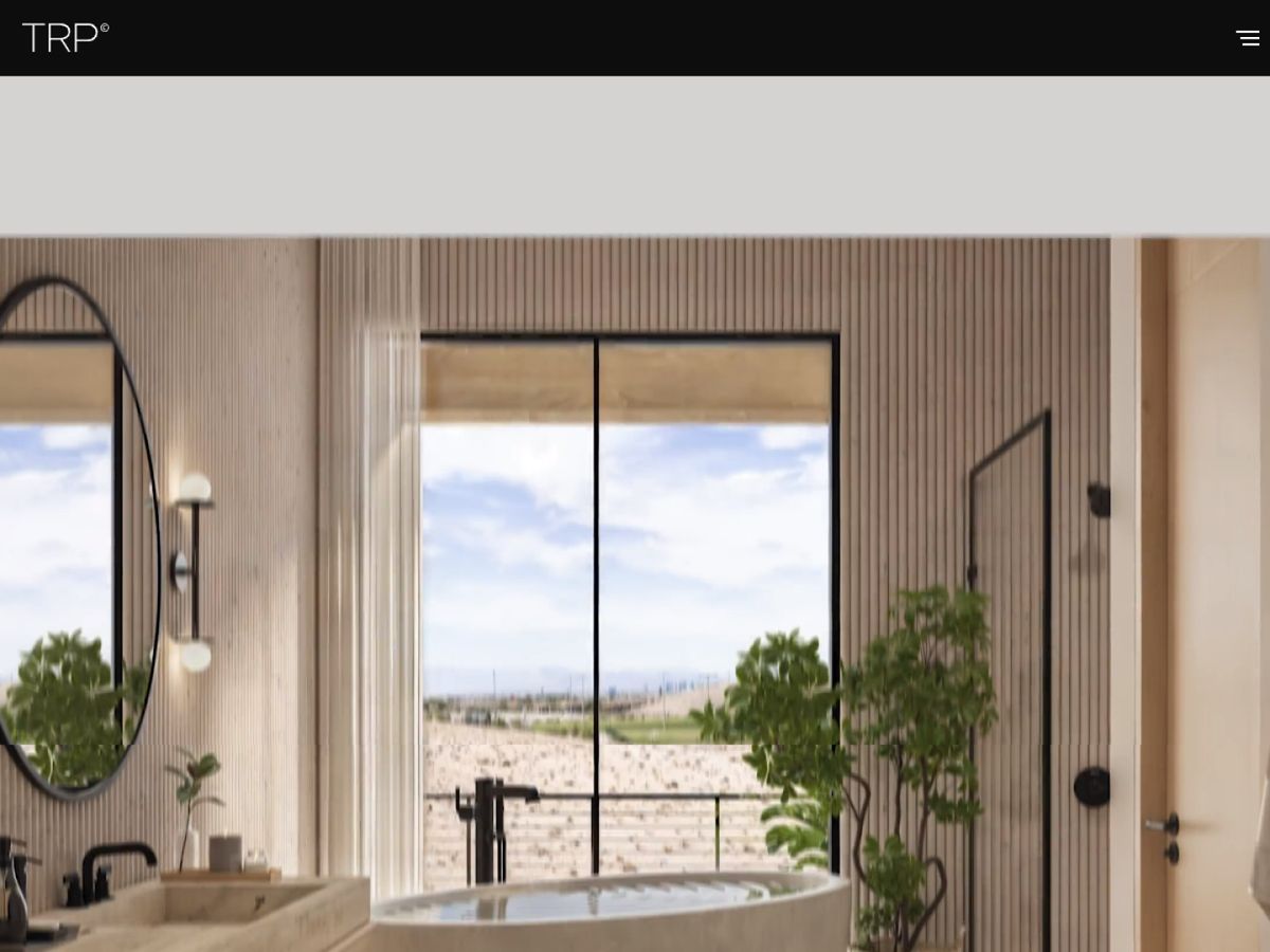 The Render Pros website