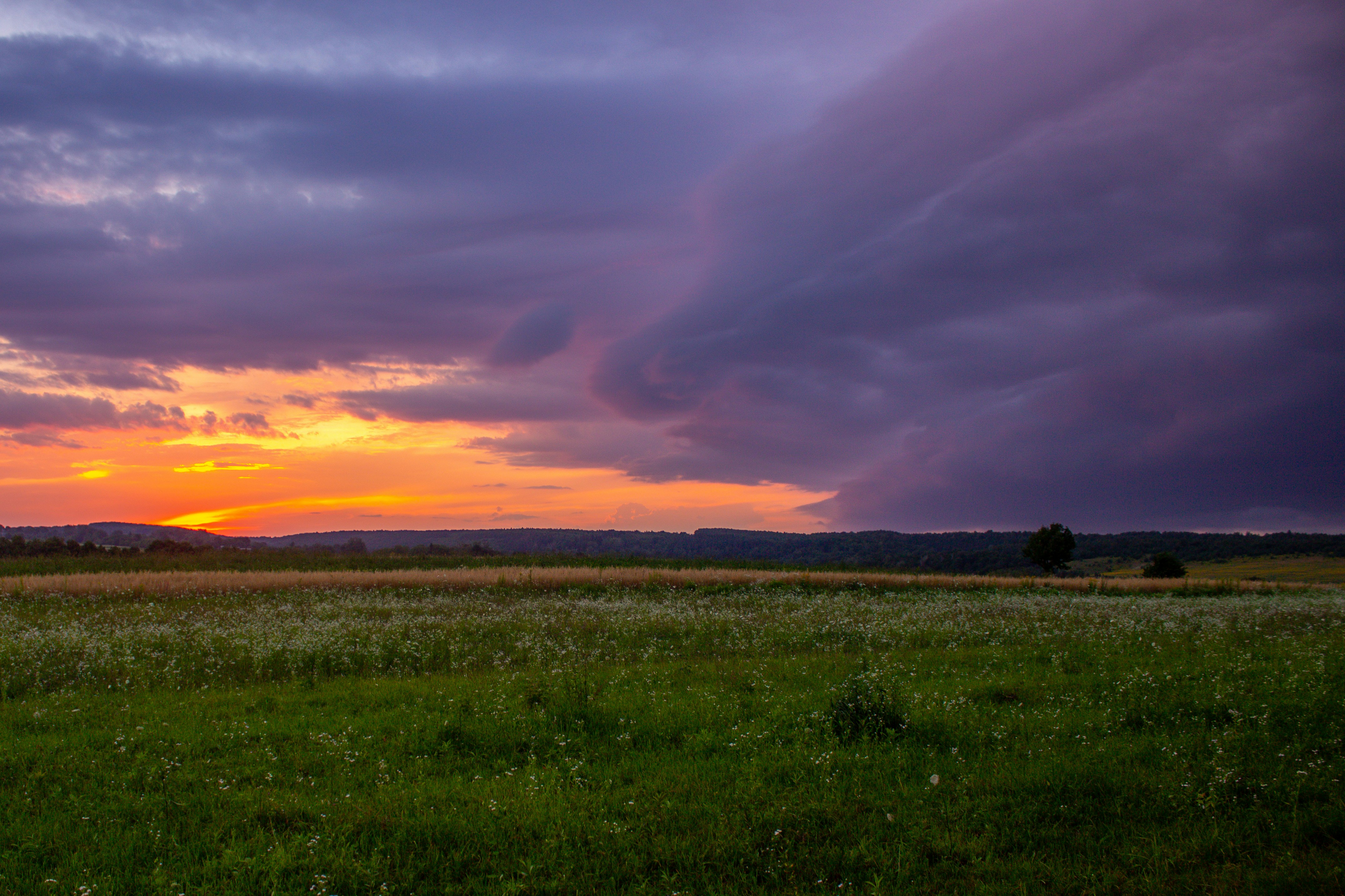 a field with a sunset in the background