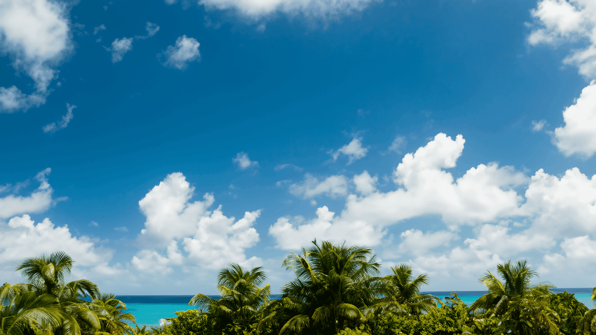 Pool at Club Vieques with loungers and umbrellas, offering stunning views of the Caribbean Sea, perfect for relaxing and unwinding.