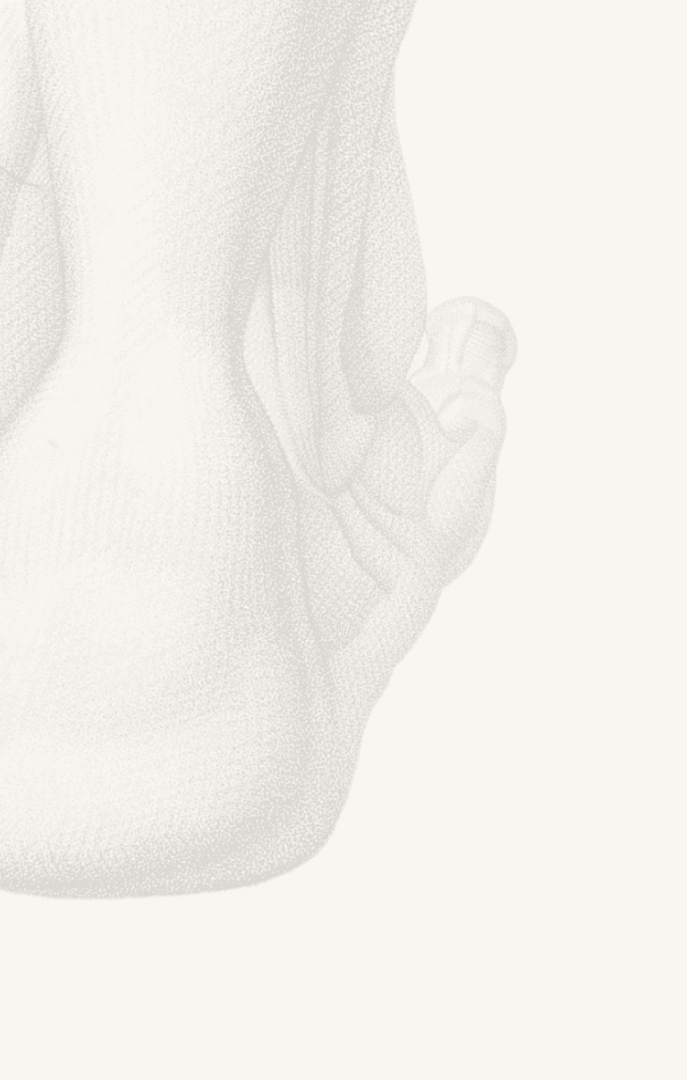 Pathologies de l'arrière pied