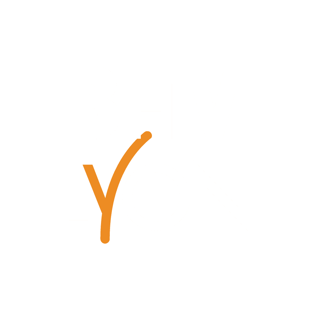 BFM Lyon