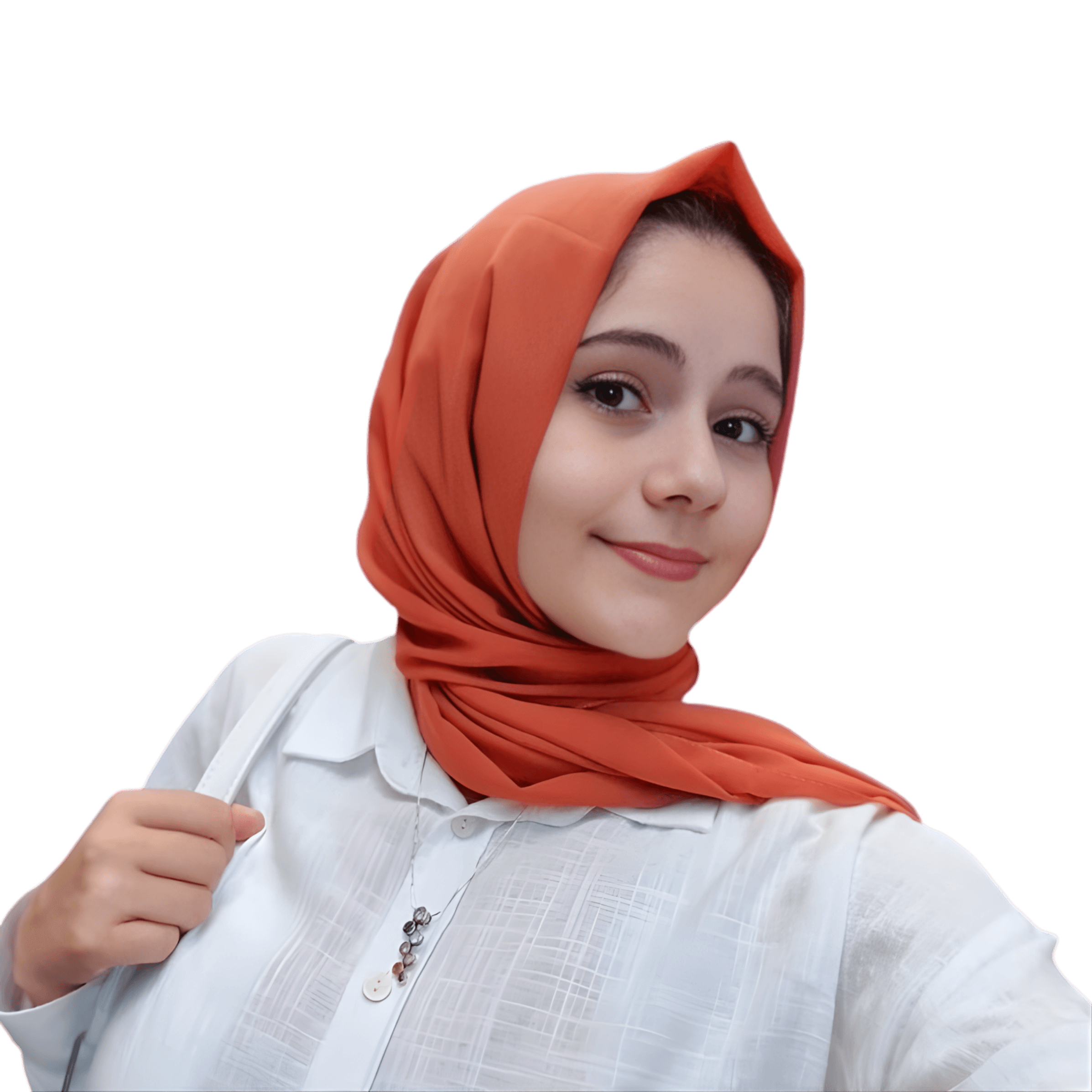 freelancer developer