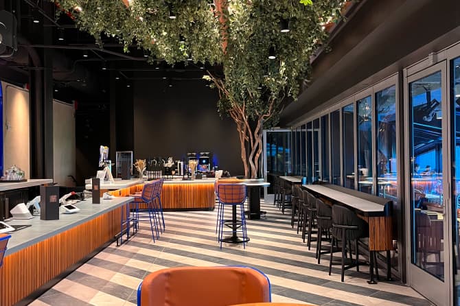The floor pattern of the bar and hanging plants