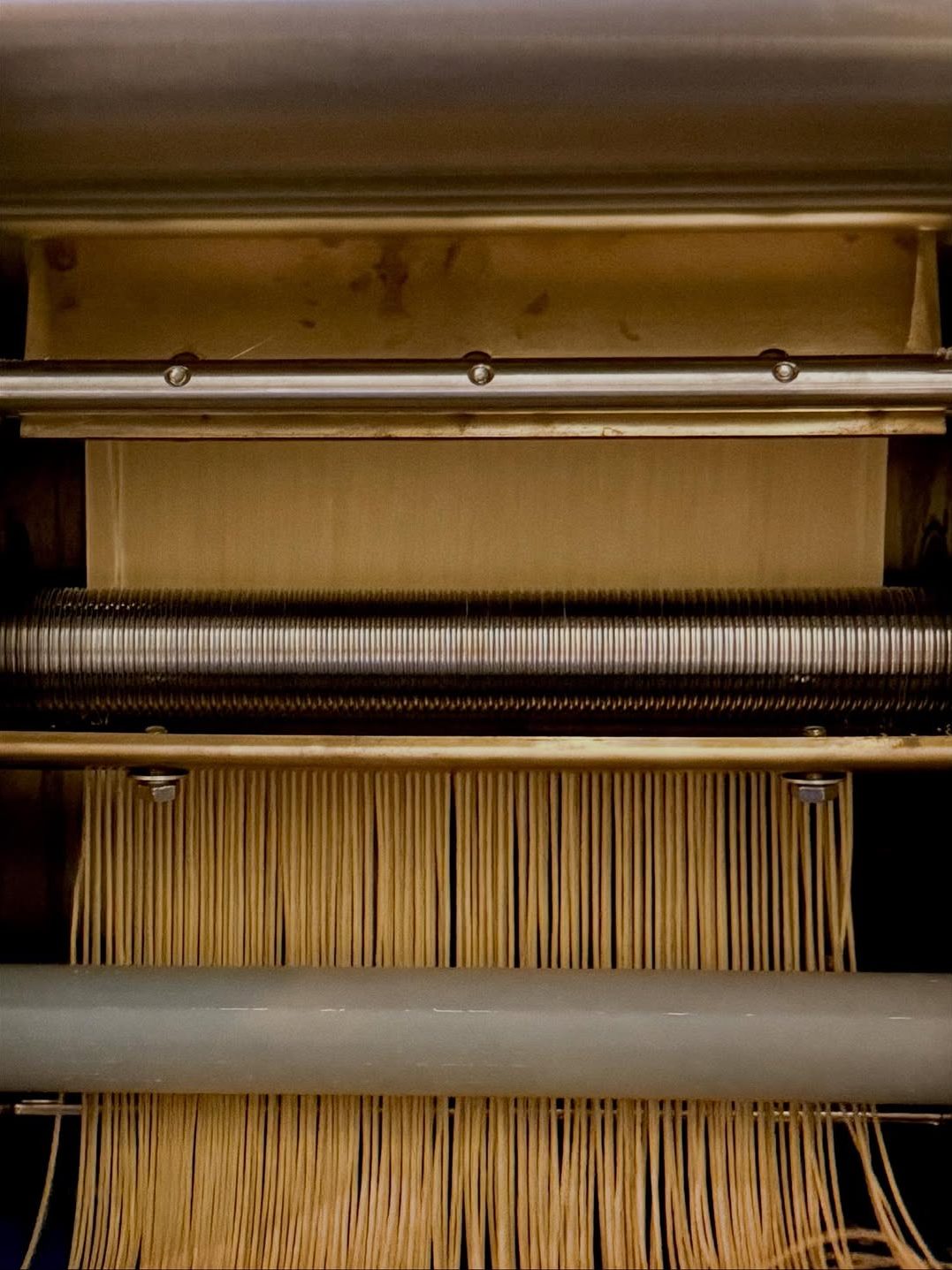 Close-up of a pasta-making machine extruding long strands of dough.