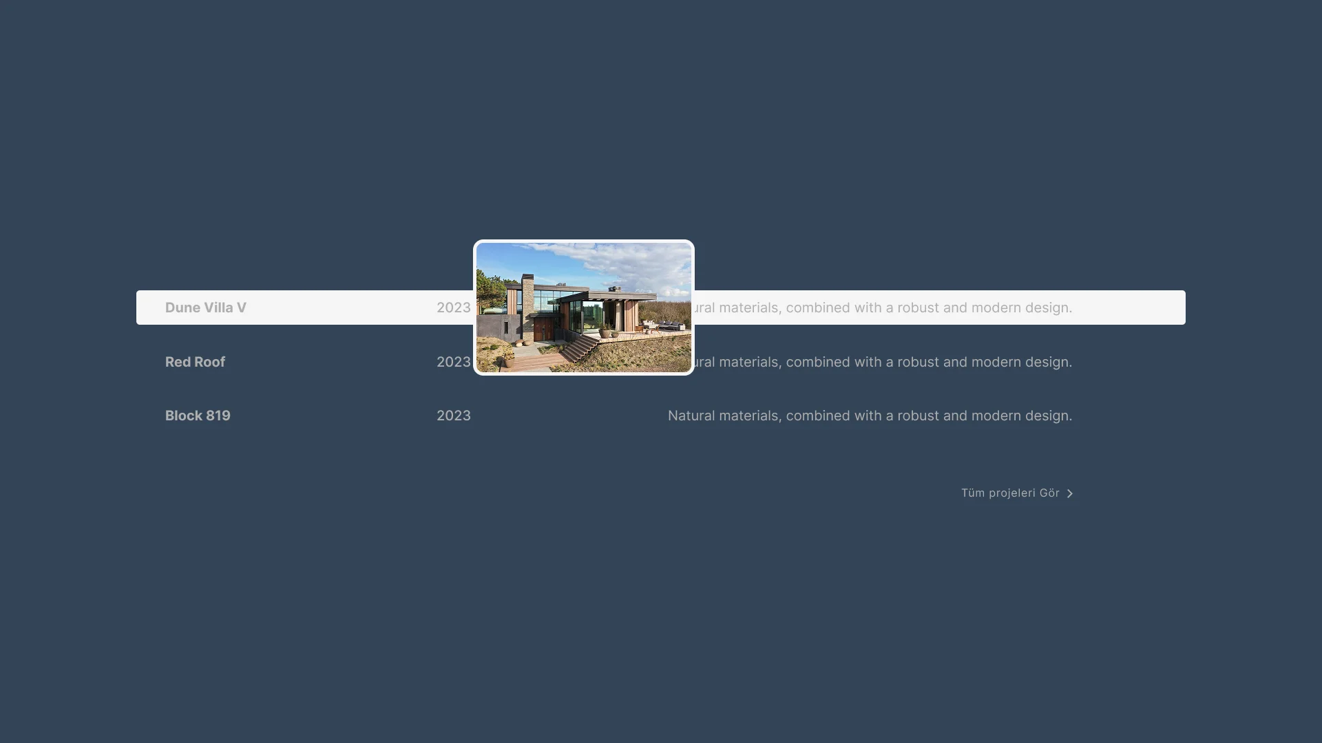 Website showcase project selection on hover
