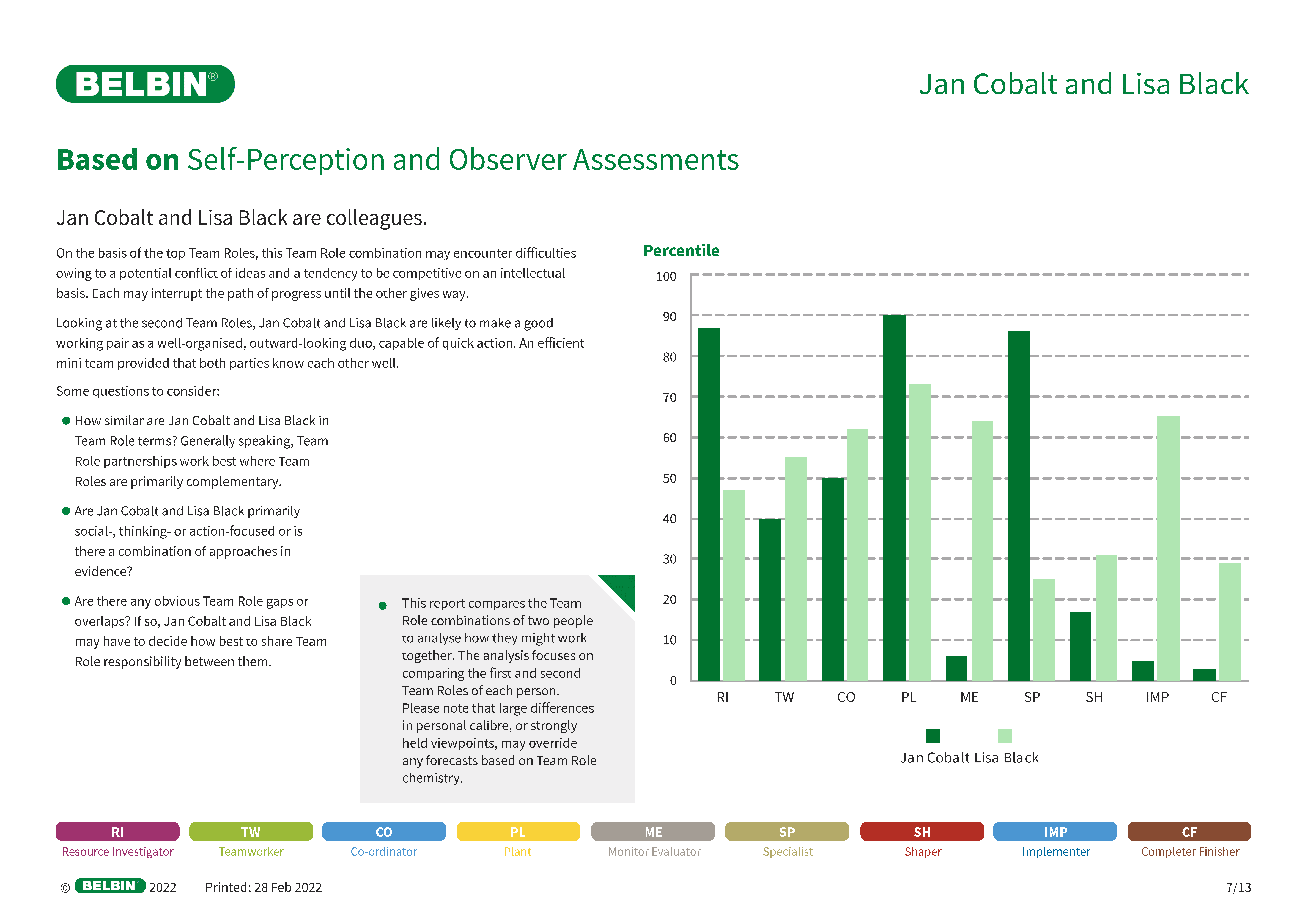 Belbin Team Roles Working Relationship Report Example
