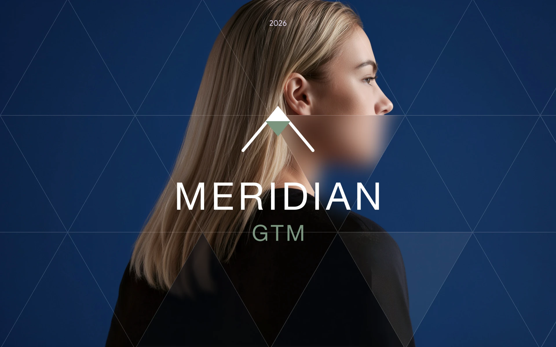 Meridian GTM Brand Guidelines