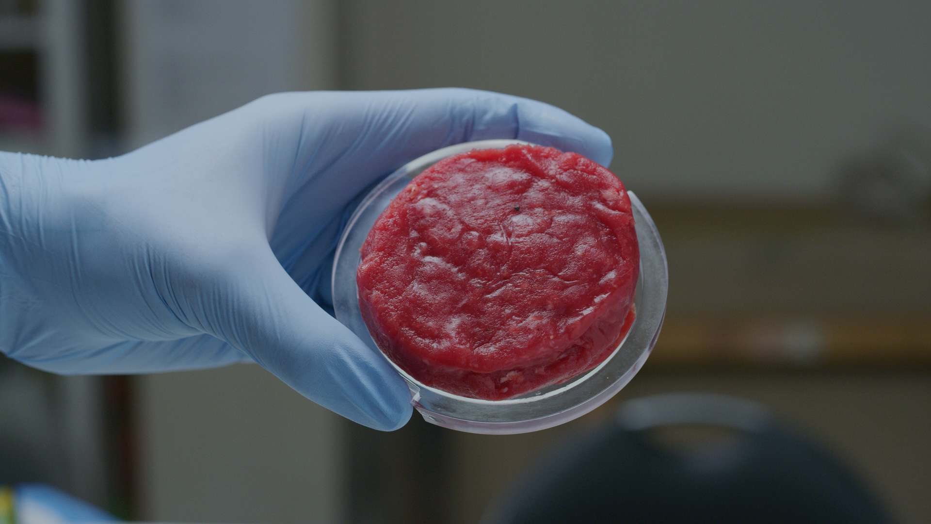 Blue-gloved hand holding a petri dish containing a round piece of red cultivated meat