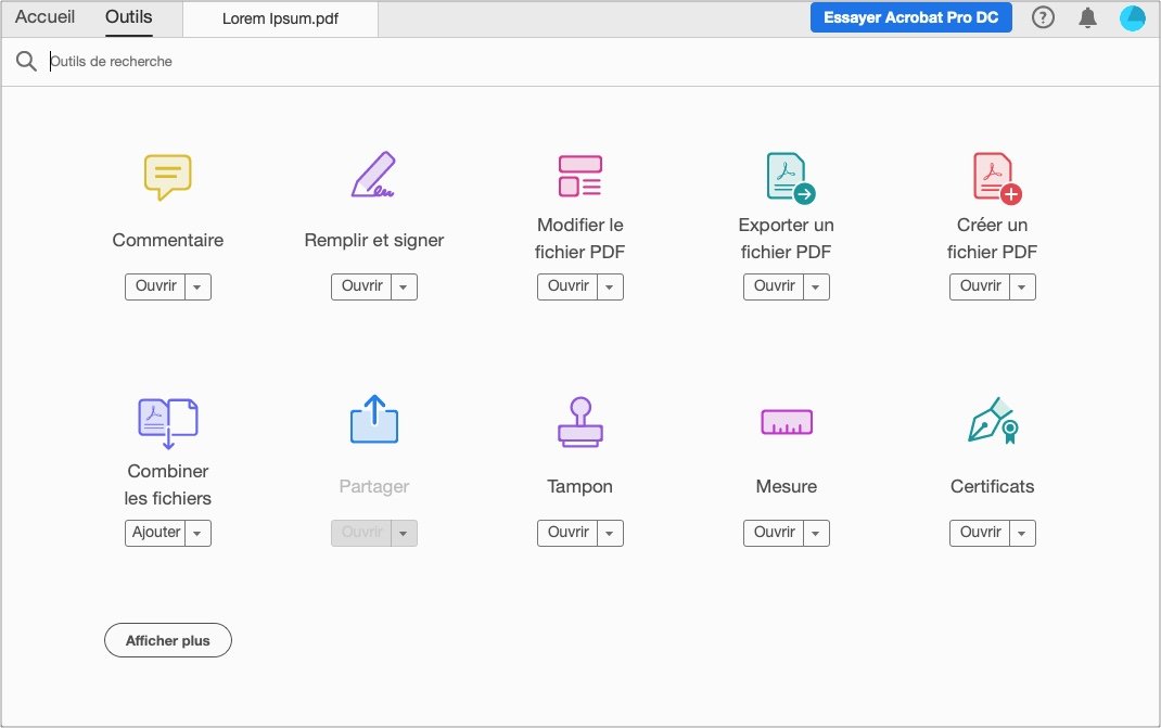 Adobe Acrobat Interface