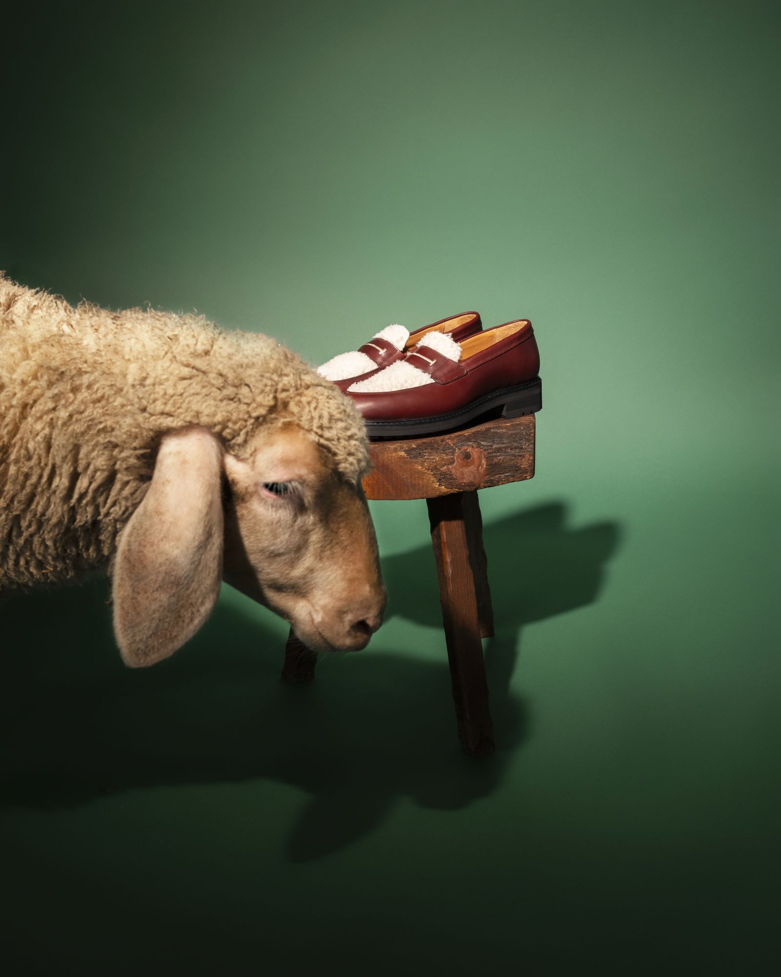 Prune Studio - Nature morte photographie - Heschung - Mocassins