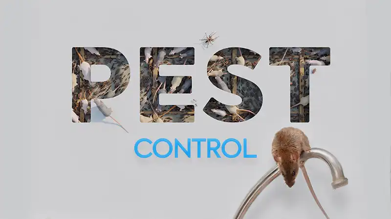 magic plan pest control concept highlighting rodent detection and prevention services