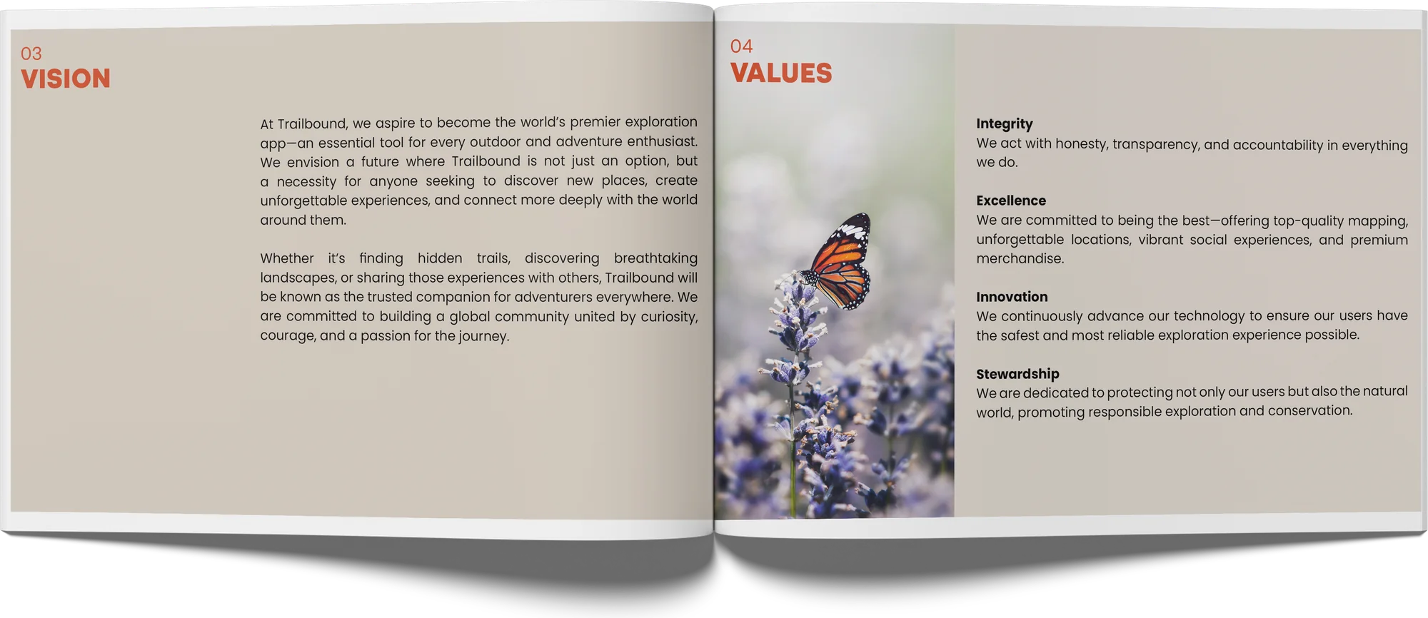 Brand book spread: vision and values