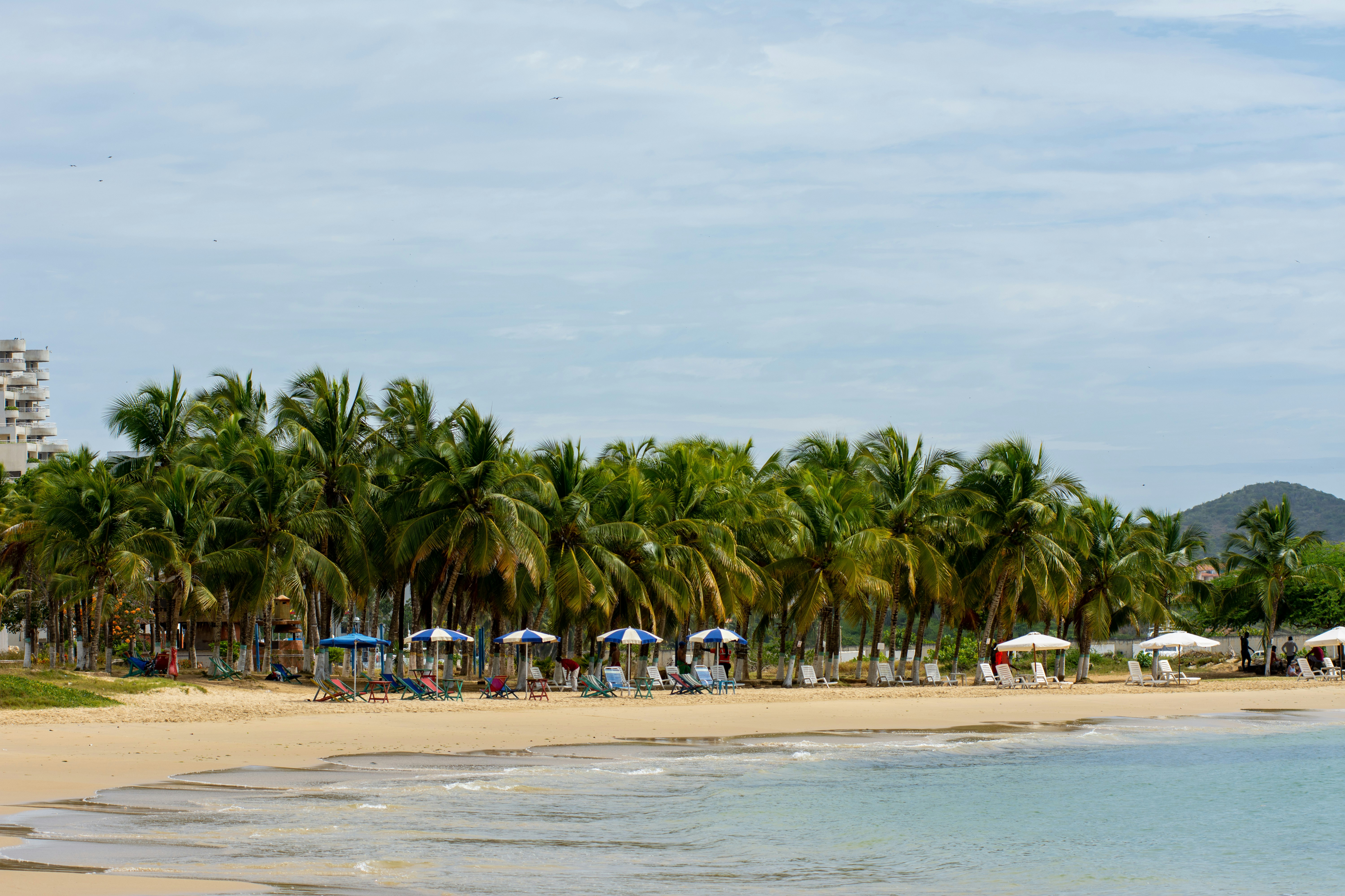 Beautiful beach with palm trees and umbrellas.
