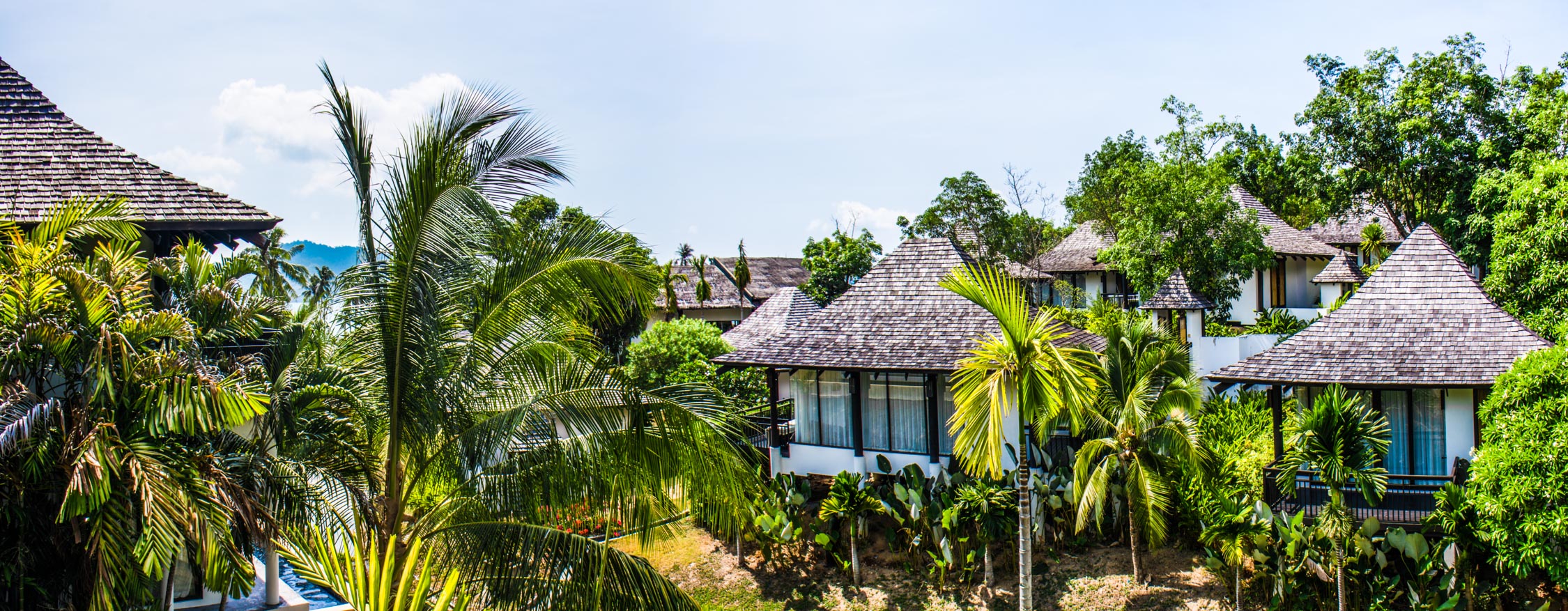 Tropical resort with thatched-roof bungalows nestled among palm trees and lush green foliage under a clear sky.