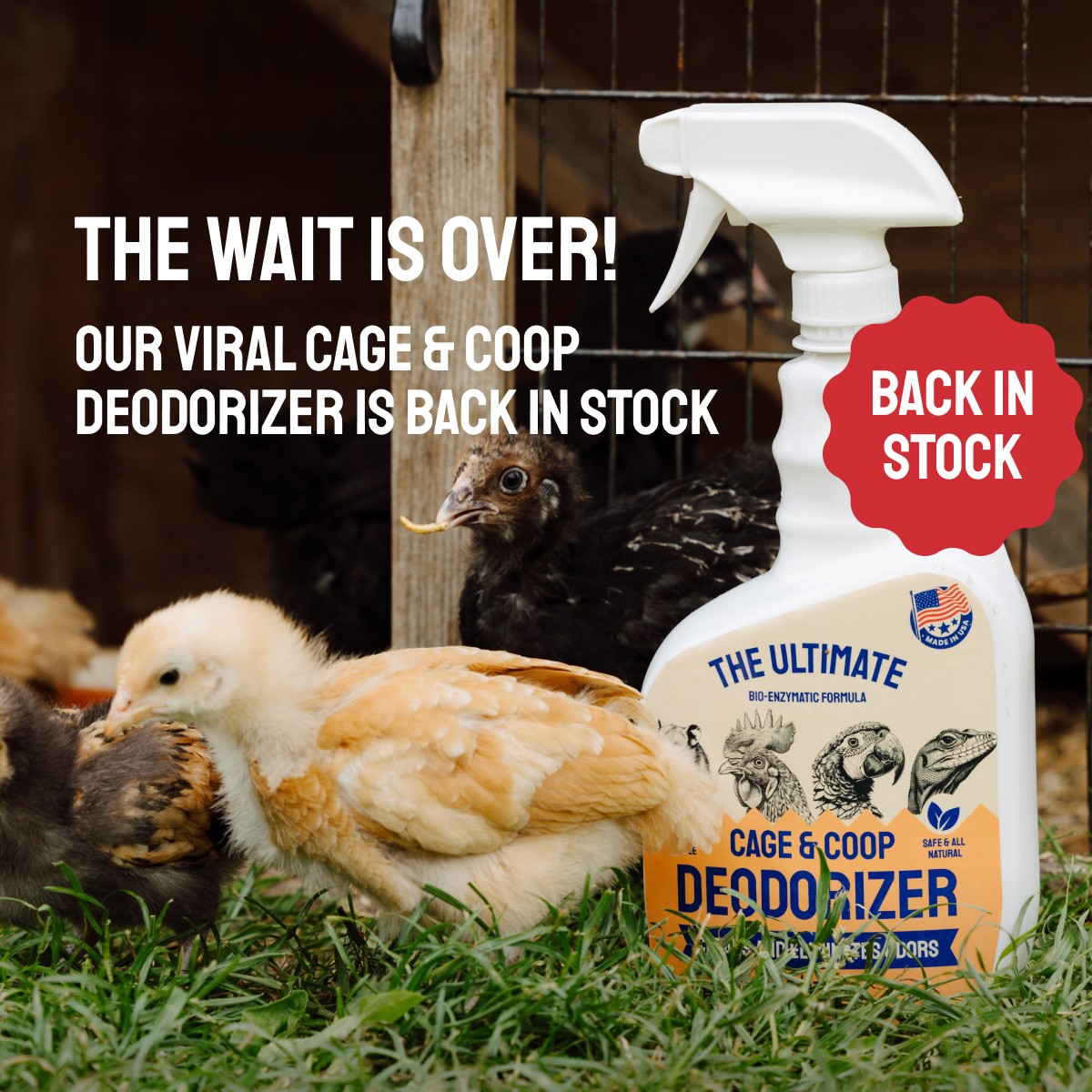 coop cage deodorizer chicken bird spray animal safe