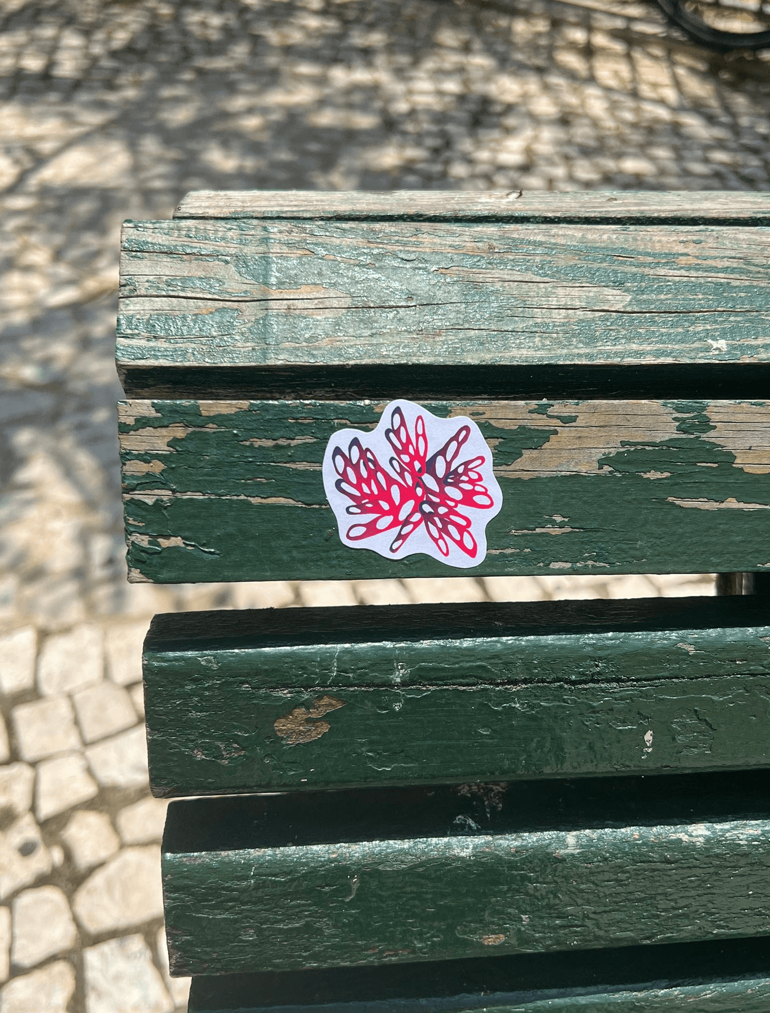  Train Emerging from Tunnel