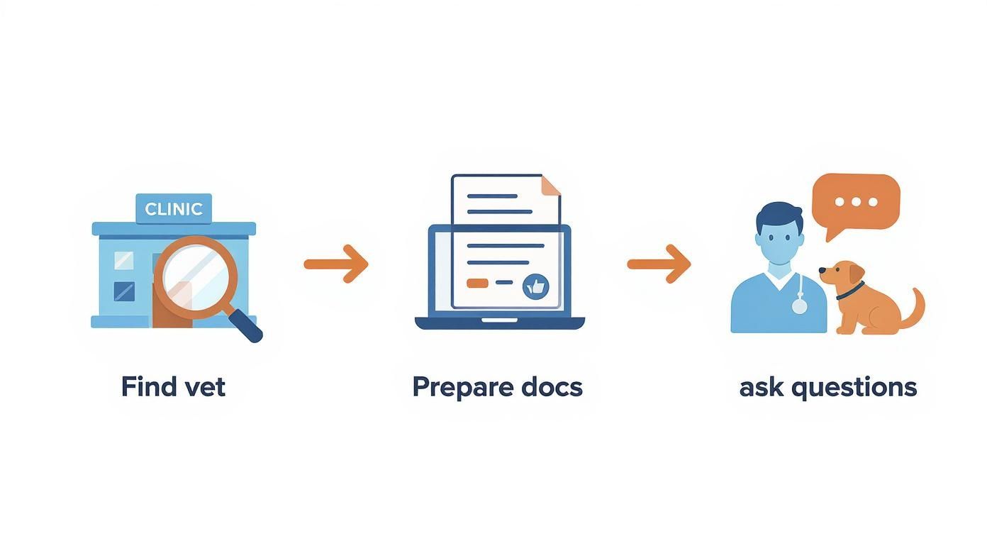 Screenshot from https://www.aphis.usda.gov/aphis/ourfocus/animalhealth/export/vehcs