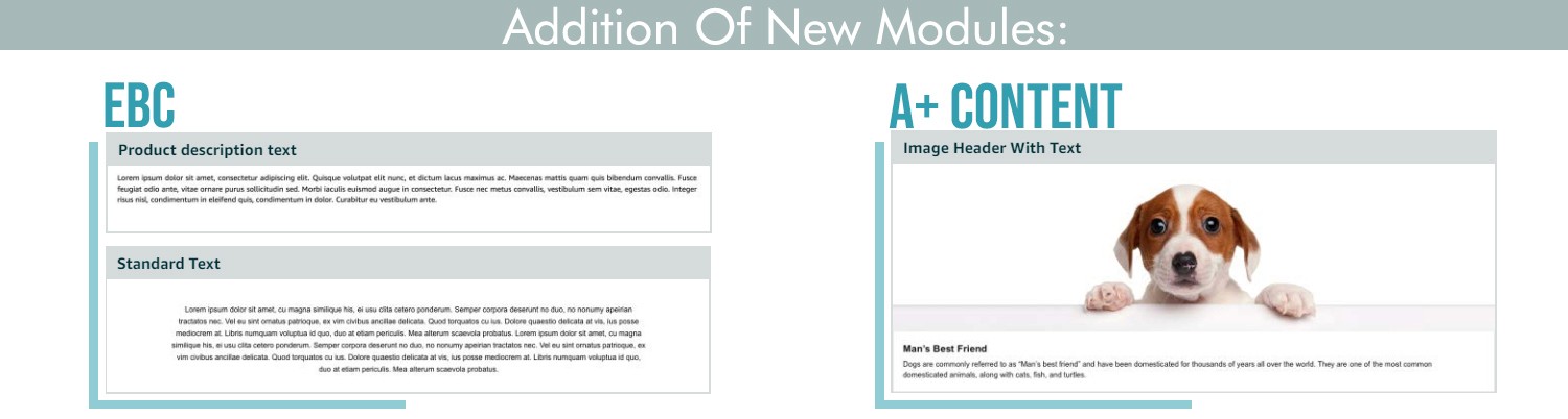 enhanced brand content on amazon