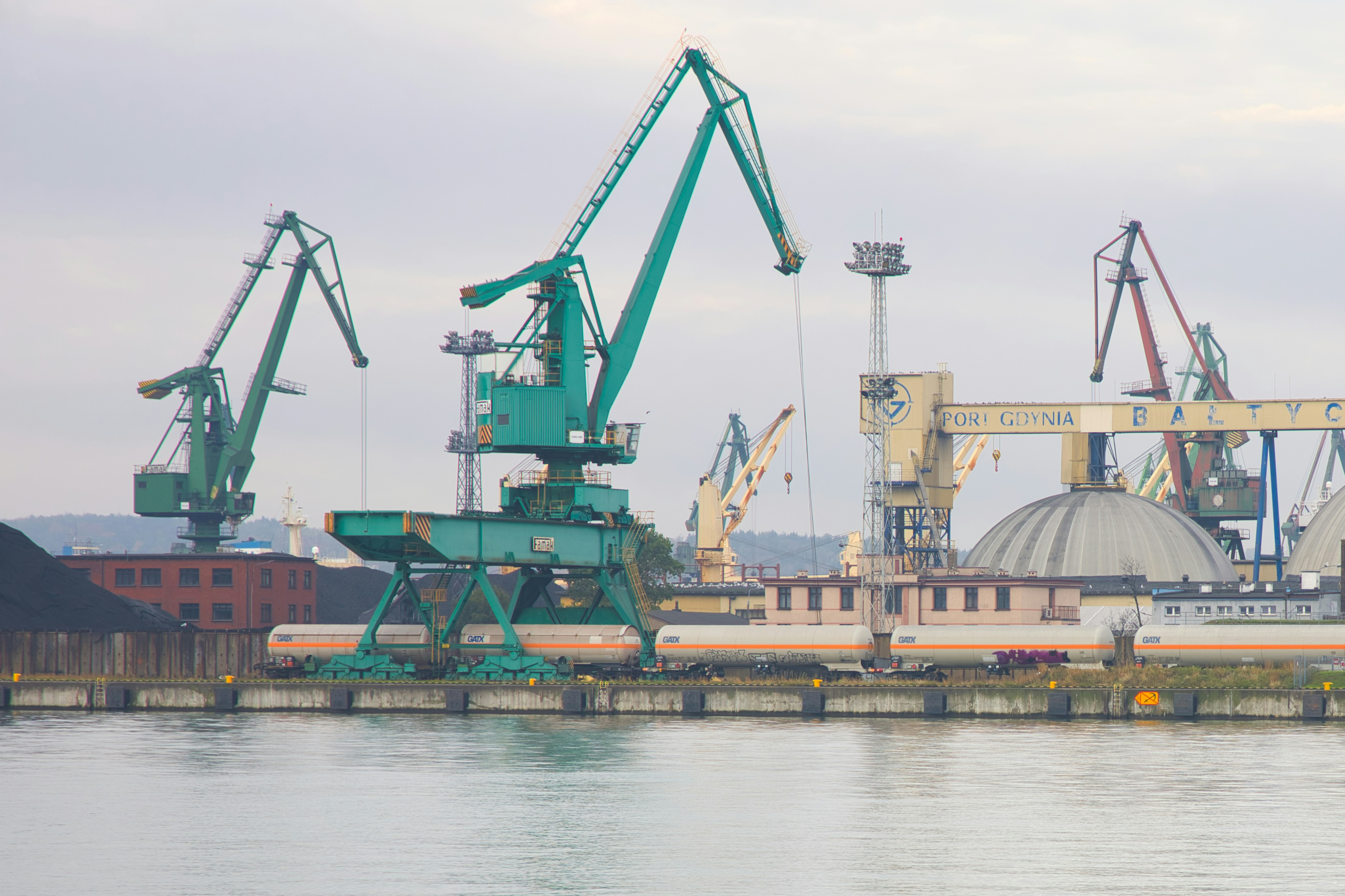a large body of water filled with lots of cranes