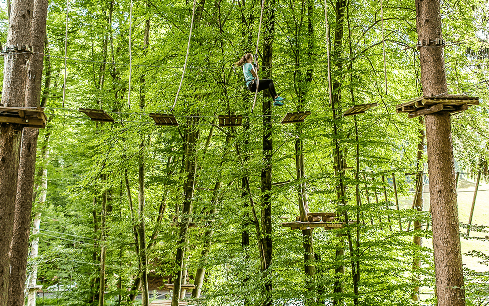 Person navigating ropes course in forest at Ropes Park Interlaken.