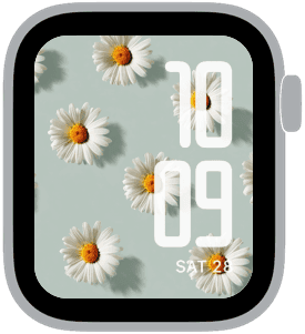 daisy pattern Apple Watch face preview 5 featuring floral, summer, and spring.
