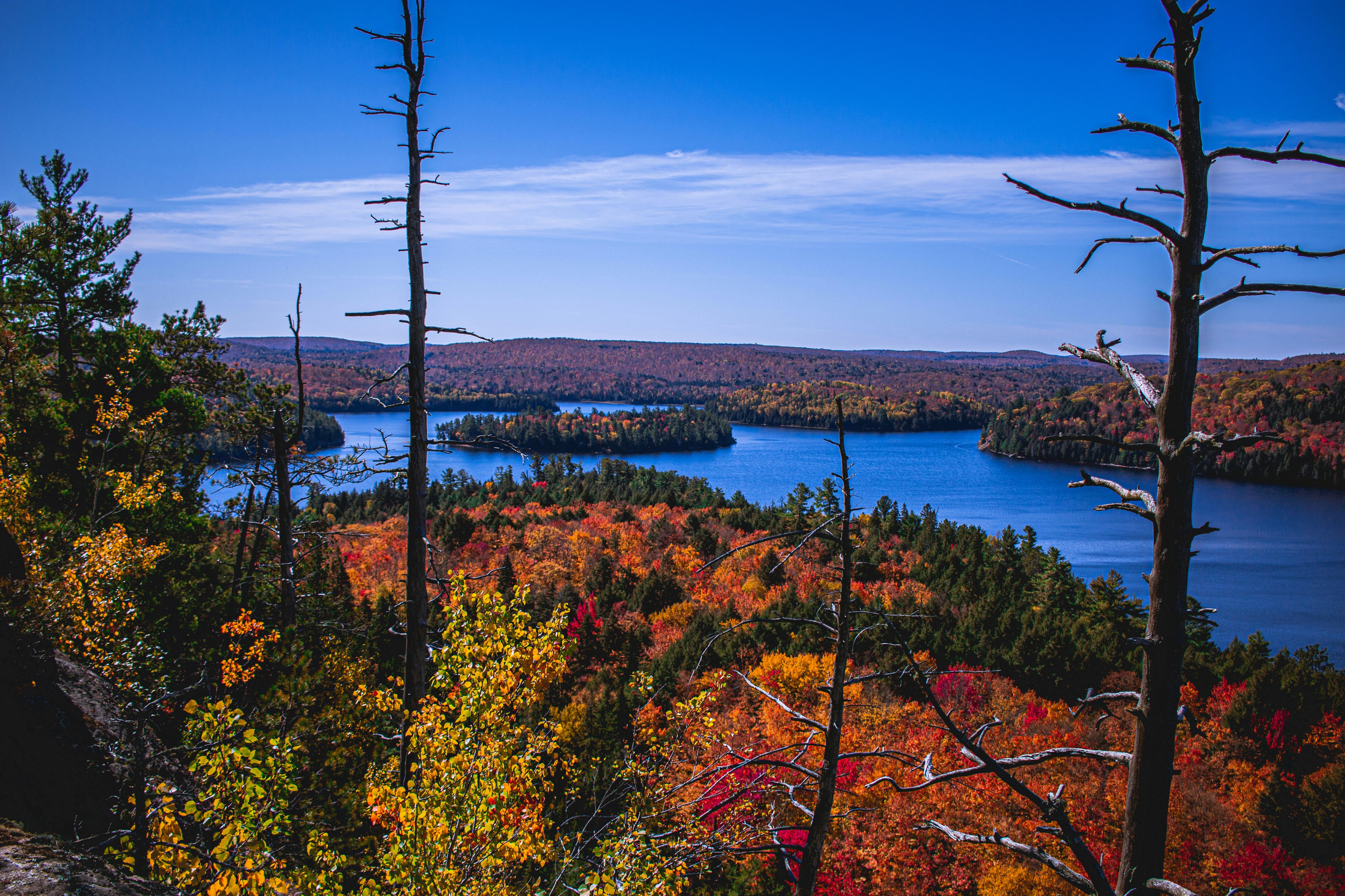 Discover the Wilds of Ontario: A Haven for Nature Lovers