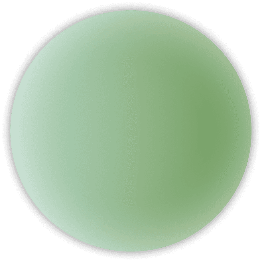 A green circle with a gradient colour ranging from deep green to a light green.