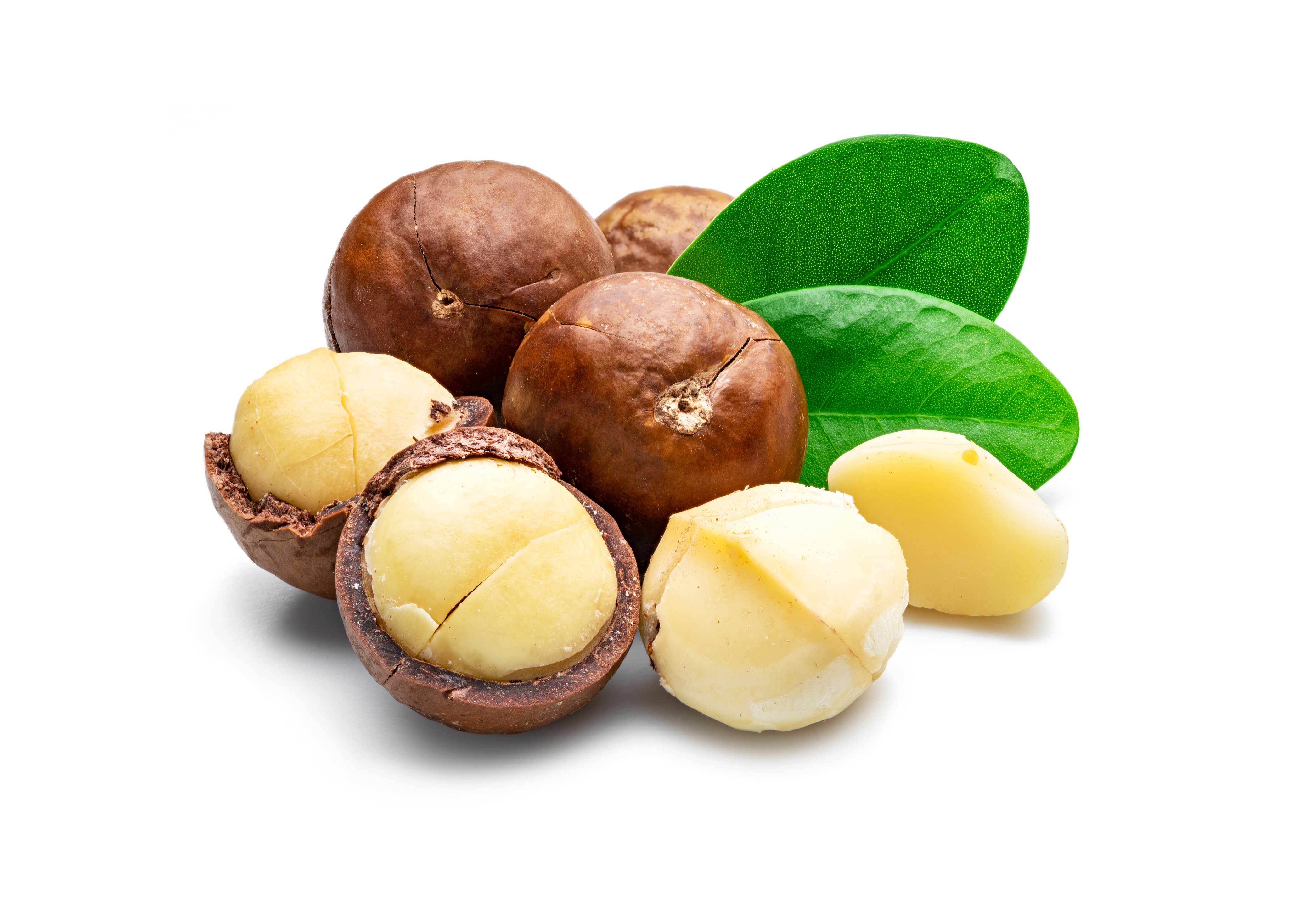 maccadamia